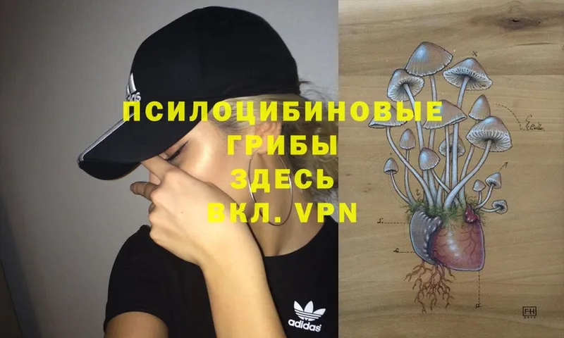 Галлюциногенные грибы MAGIC MUSHROOMS  KRAKEN зеркало  Томск 